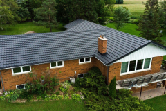 11_whistler_11